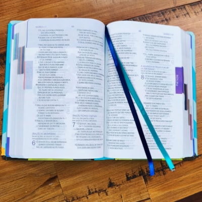 image_bbd9d893-192b-42fb-b99e-f5125d152210