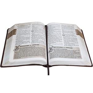 Bíblia das Descobertas para Adolescentes | Letra Normal | NTLH | Capa Couro Marrom Claro Ilustrada