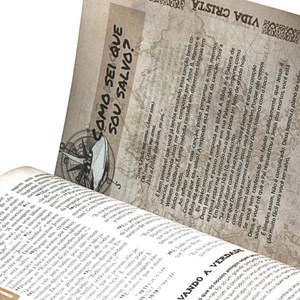 Bíblia das Descobertas para Adolescentes | Letra Normal | NTLH | Capa Couro Marrom Claro Ilustrada