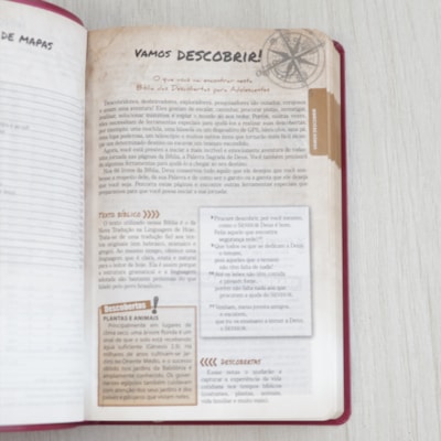 image_975b6021-5a46-43ed-adf5-79f585d11da6