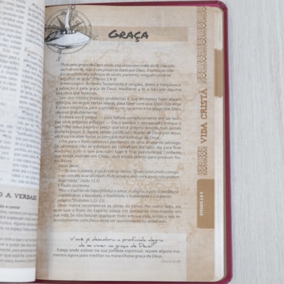 image_e2bed130-950e-428a-a76a-ab2f6fc9e30a