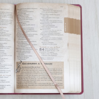 image_d0130f6c-a185-4e14-89af-f673373800fe