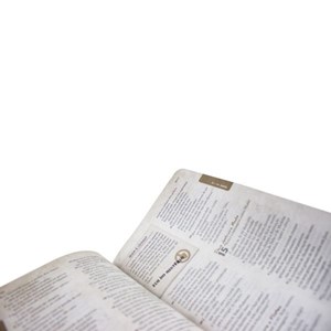 Bíblia das Descobertas Para Adolescentes | NTLH Letra Normal | Capa Couro Jeans Flores