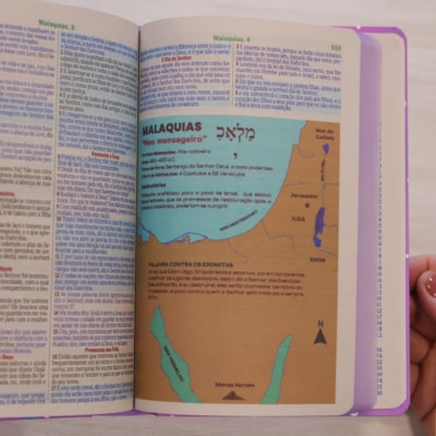 image_52370fc0-b632-4e66-9432-1da9c90d8947