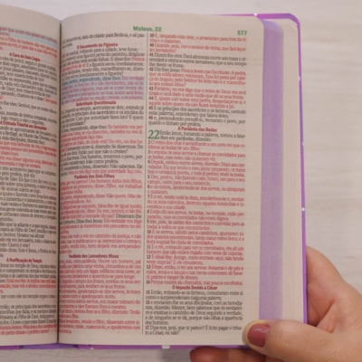 image_c9779799-1101-402d-b0ce-db2a9fcafda7