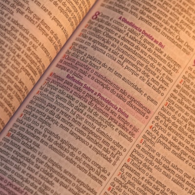 image_719693f8-f0c5-4aee-b12d-3ded51a450bd