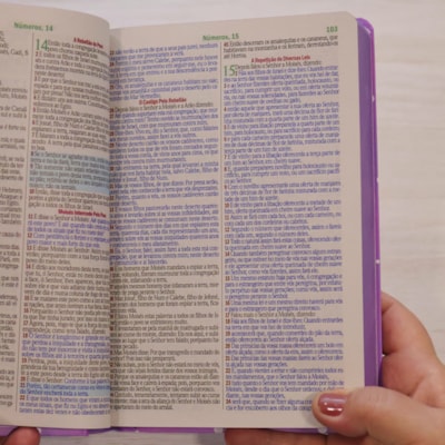 image_8bfcdfa7-11a2-4065-9a0a-0006bf688ba5