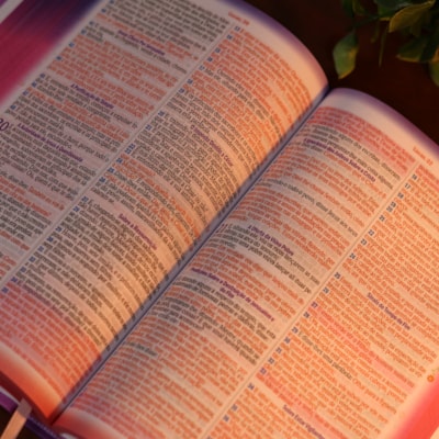 image_8c1f2cac-73cb-445e-945b-469b41a7d35a