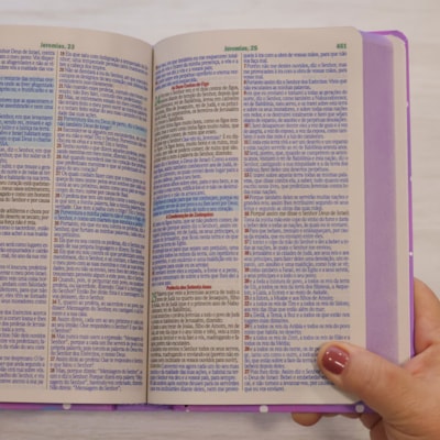 image_522ef3f2-8666-4c0b-a6aa-3fc52df86fd7