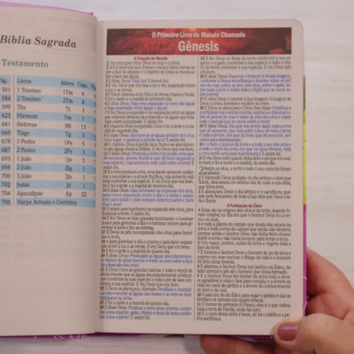 image_555584de-a94b-4e36-8493-395a146eb70b