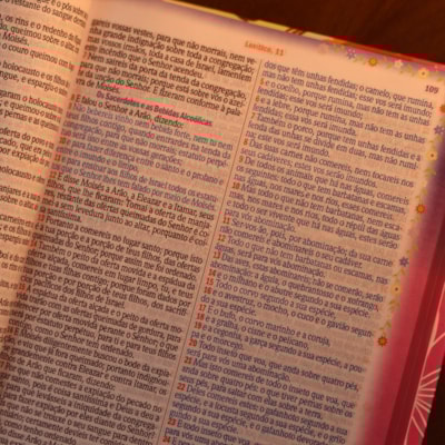 image_4f2547bc-0cdd-4f22-8b0e-1b4acaa5d9c1