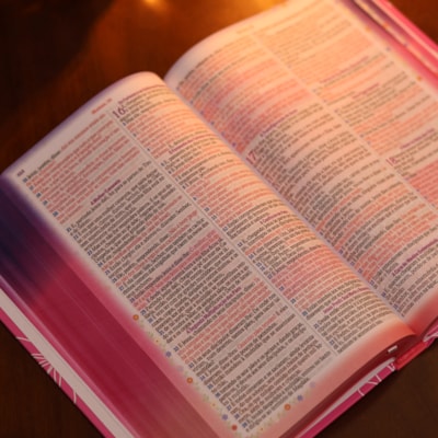 image_cf96223e-95ab-49bf-b881-8767ad7d6676