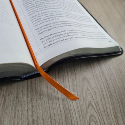 image_8b541801-dd2a-4c84-8802-031b534ad593