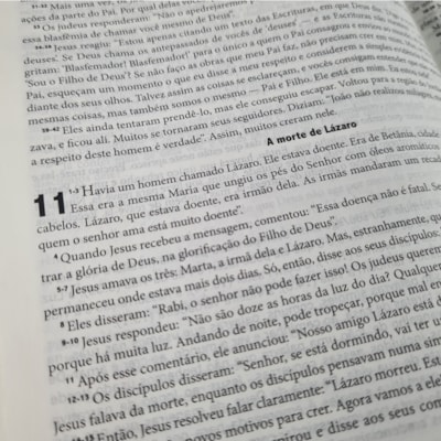 image_e0c91a03-254e-461e-95fc-b67b7073c896