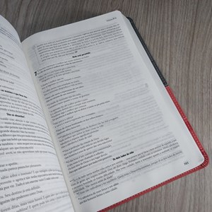 Bíblia de Estudo - A Mensagem | Letra Normal | Vermelha e Cinza