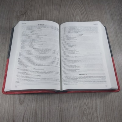 image_44b221d4-c6a1-491e-a9ed-9e8637e41364