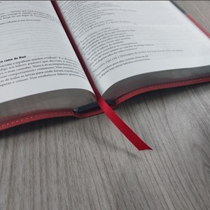 Bíblia de Estudo - A Mensagem | Letra Normal | Vermelha e Cinza