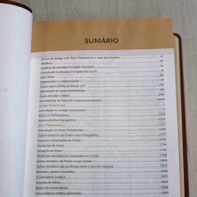 image_47a035f0-238c-4ea4-aea5-d2b8b838f89a