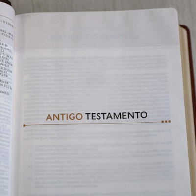 image_b57acc93-69fe-4707-9474-bc6ee34dc350