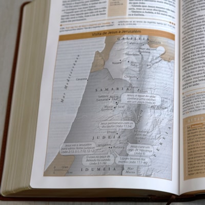 image_84687642-fbb0-4510-a341-00fe7909043d