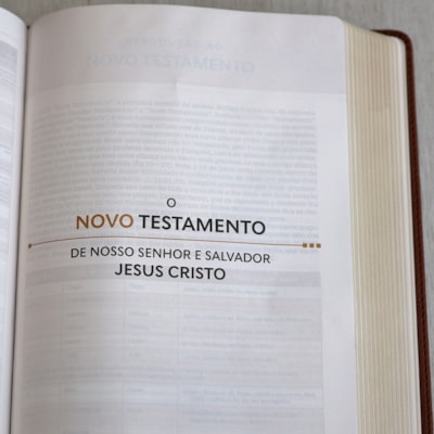 image_5e09c062-6638-46c4-84f9-b4ae4c0fd848