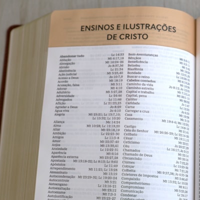 image_02e44aa0-ac37-4cda-bf38-3f8c7e9b6eca