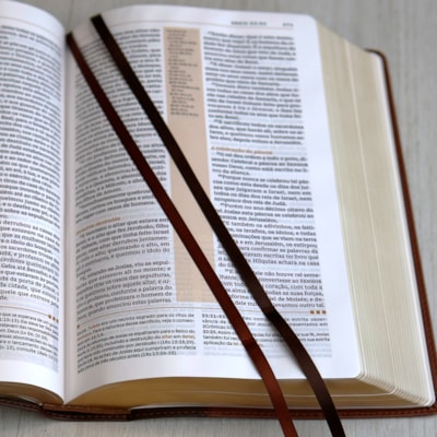 image_f14d5943-0024-4a37-8547-d7be580274a6