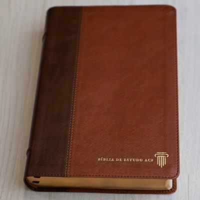 image_e844ede0-673e-476c-86a3-b14c585661e0