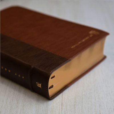 image_1c64a78c-9c96-46f6-be05-5d0134495413