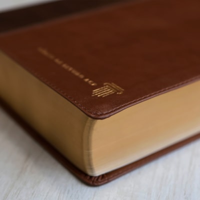 image_8ac2394d-aff8-433a-ba45-e2df000c3a55