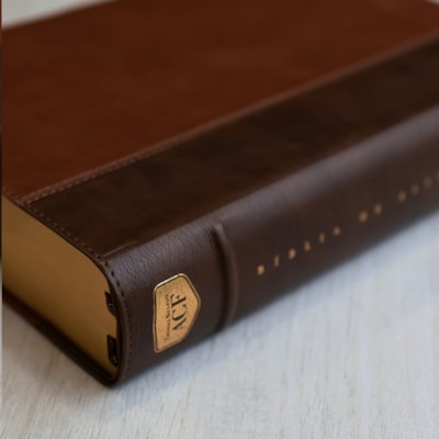 image_a3e377c5-e6bf-4883-93e7-648bdde0a446