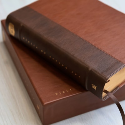 image_896f08fd-25c0-4da0-b0f3-a79a632a22ea