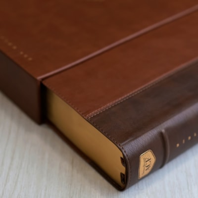 image_434a4baf-9d38-4ee2-8bde-aaf0e679722f