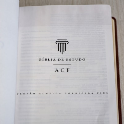 image_92eb40d1-0e48-42a6-b487-2f3d369a54f0