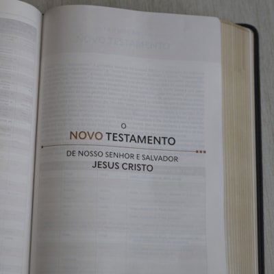 image_e9453fde-3cb1-45cc-8db2-031a7ad98add