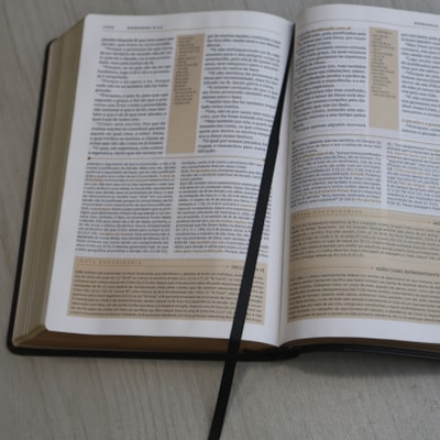 image_afb0933f-ce09-4739-8270-0876f111103a