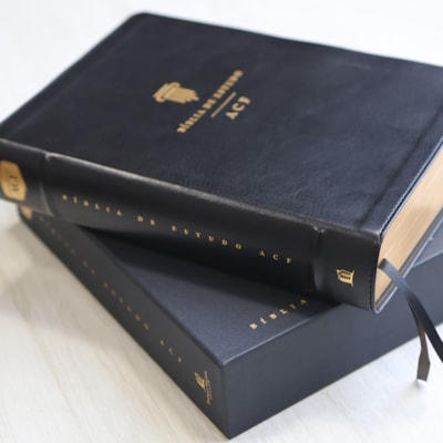 image_179ee10f-5541-4206-ac65-f61665f64fa4