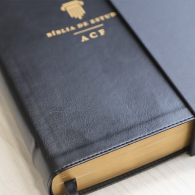 image_543805ea-e40b-4a6f-b5cb-c2c8feebfe53