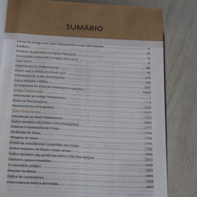 image_86fce371-1d89-43fb-aab0-5f42cd03b5e5