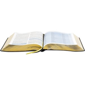 Bíblia de Estudo Almeida | NAA | Capa Luxo Azul