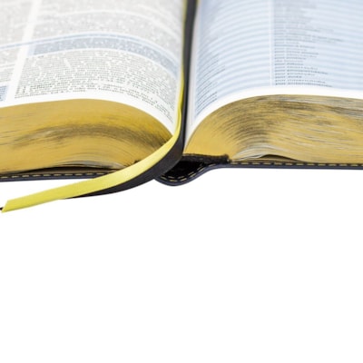 image_faf954e4-e0d9-44f7-9c99-5d2650b05ba9