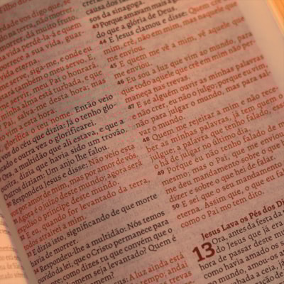 image_600c40a8-8e32-465e-a3f5-35ae97f3b8ca