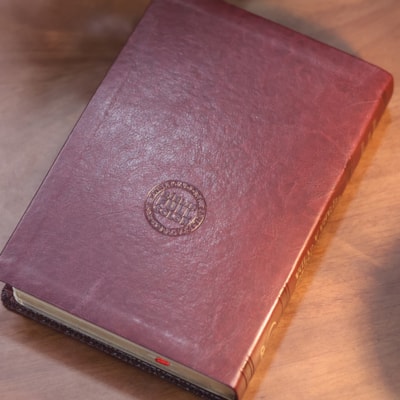 image_6bdab8d2-f8c7-4c16-ab23-1a38640a0bd0