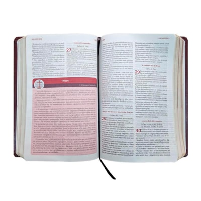 image_0056617b-f806-4033-b5d4-0d6115f8a65f