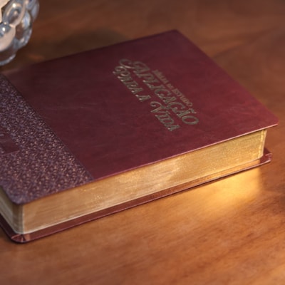 image_de434977-e948-4c53-94b9-36b5fd35ddfa