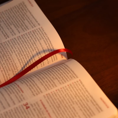 image_c083c7ba-d3b5-4755-9cdb-5b66843b0296