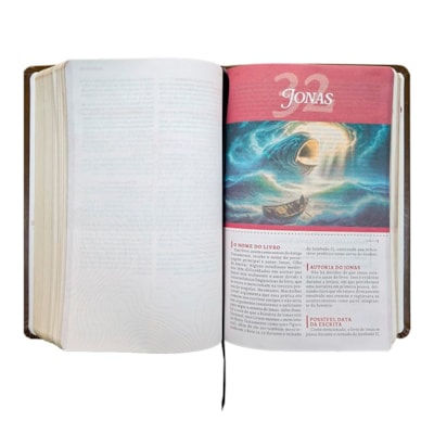 image_3d2b516a-ebaf-4935-a473-f5c4360f2d5b