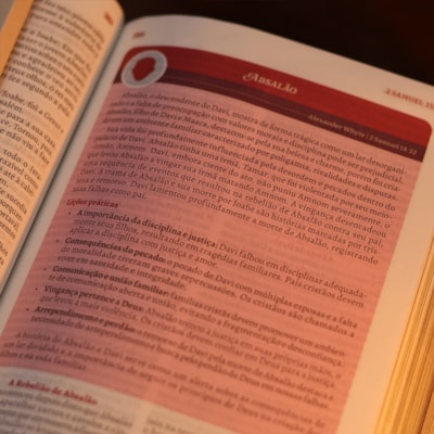 image_bd195687-1e1a-43d4-b0b0-22a638dca2b9