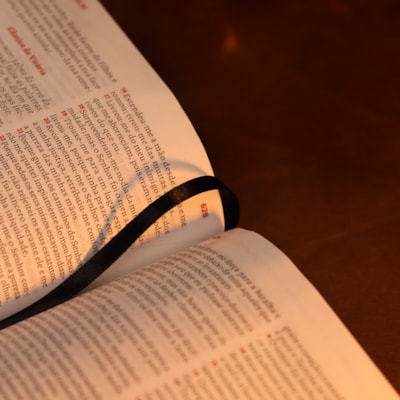 image_05239893-05f0-40ad-8099-958a8570f718