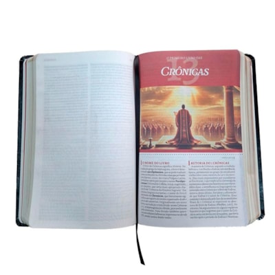 image_3330ae07-dea8-4d4d-8c14-ba3dd424766d